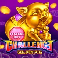 FEATURE BUY・GOLDEN PIGPlayStar thumbnail