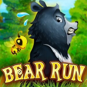 Bear Run icon