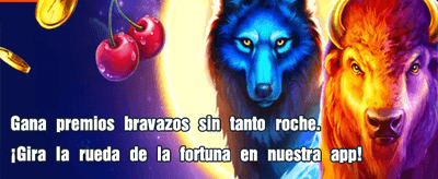 La Mejor Experiencia en Perú